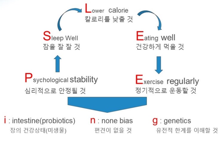  다이어트 기본원리: SLEEP