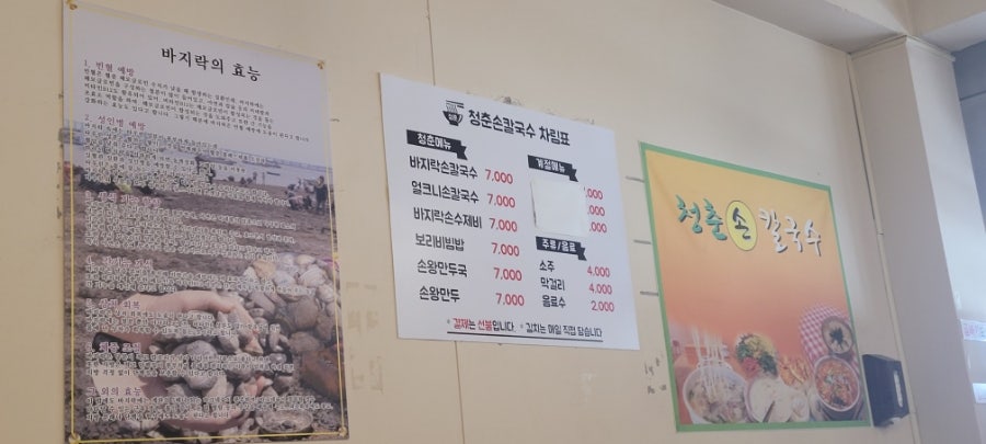 청춘손칼국수 사진 2