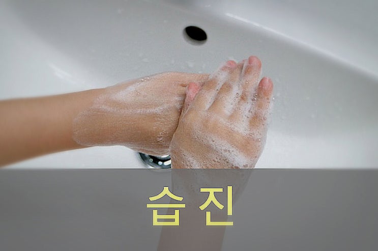  주부, 건성, 동전(화폐상) 습진 원인과 증상, 예방, 좋은 음식