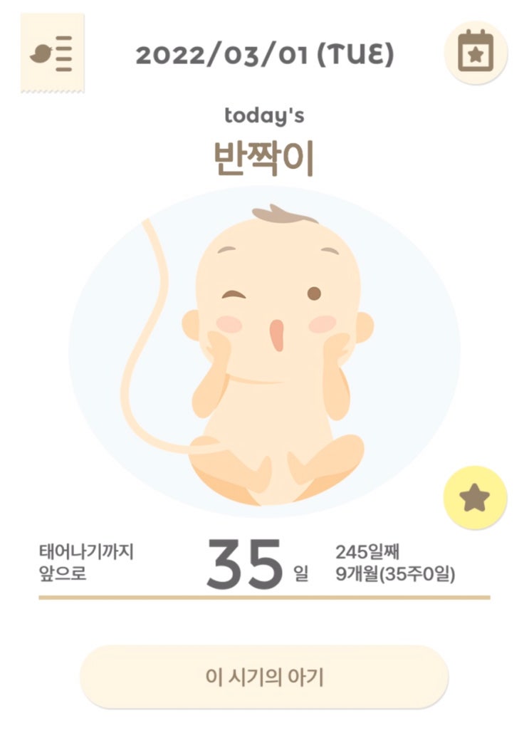  [임신 35주] 이제 진짜 막달, 출산 가방 리스트업