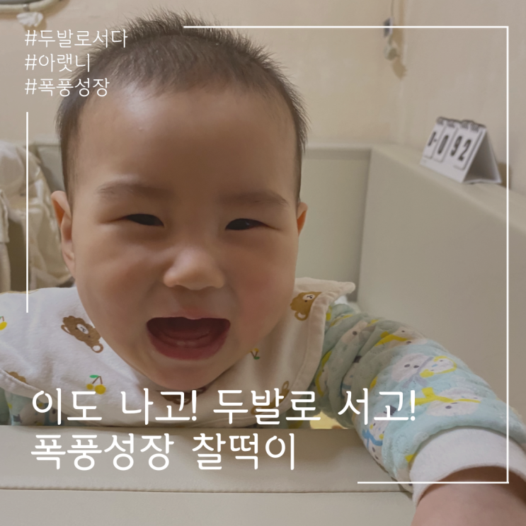  폭풍성장하는 찰떡이.