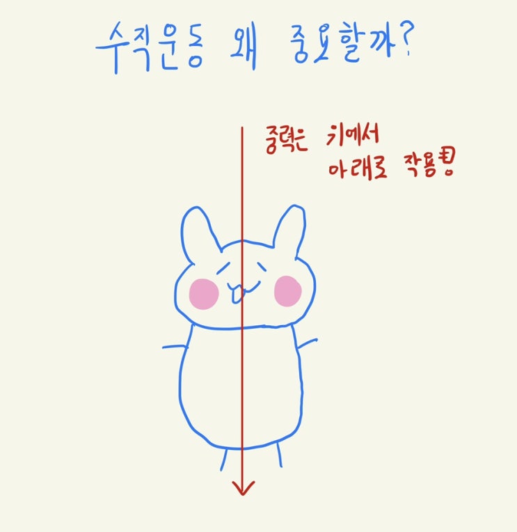  수직운동은 왜 중요할까? (웨이트, 미드풋, 수직저항)