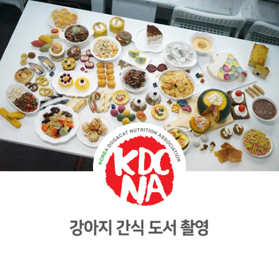  펫푸드 창업 레시피 서적 촬영 후기 [한국반려동물영양협회/정유경/펫푸드자격증/강아지수제간식/강아지화식/고양이음식/전주/군산/대전/광주/화순_996]