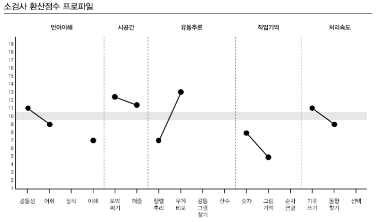 좋은나무 두뇌과학 심리연구소의 웩슬러 지능검사