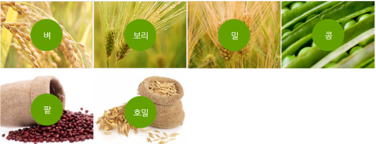  [식물종자]식물종자의 품종보호와 보급 및 유통관리 제도