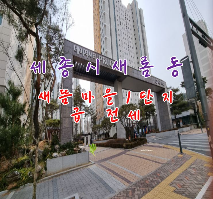  세종시아파트 새롬동 새뜸마을  1단지 84a 급전세3억