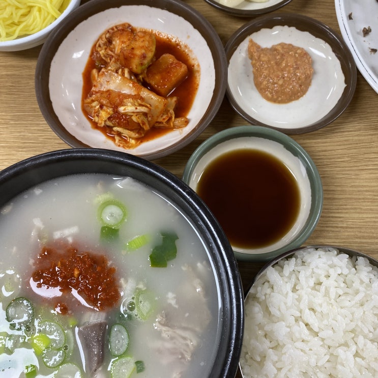 부산돼지국밥맛집 서면 포항돼지국밥
