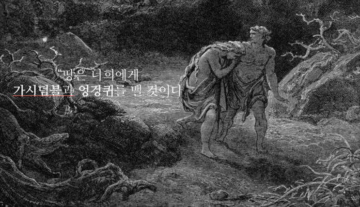  진로를 어떻게 해야 할까요?