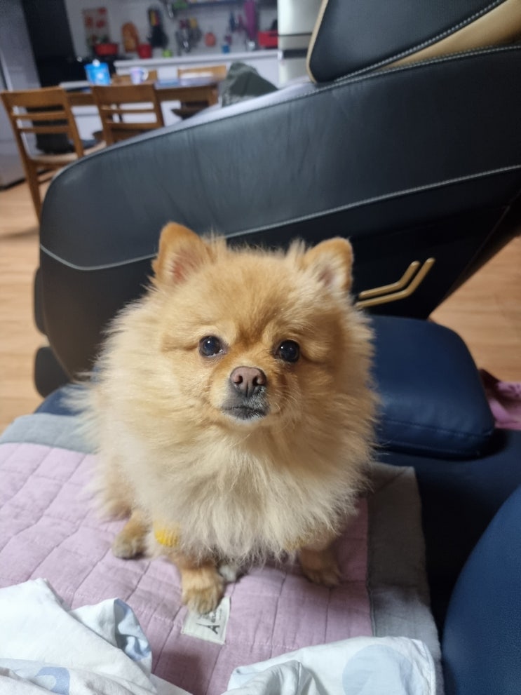  울아가 환골탈태함