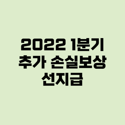 손실보상 선지급 신청 대상 - 소상공인에게 250만원 지급!