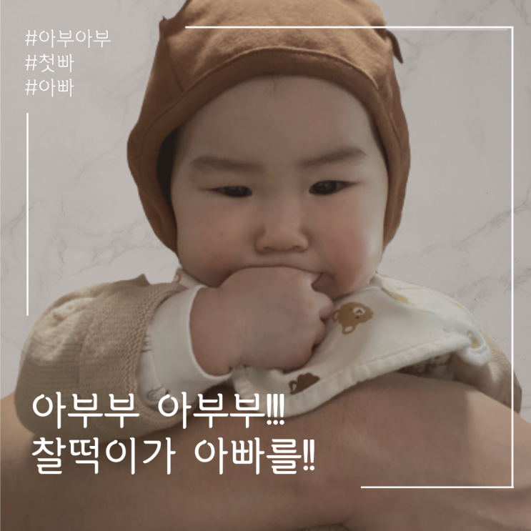  아부아부~!! 찰떡이가 드디어 말을 했어용