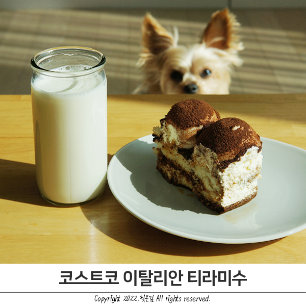 코스트코 티라미수 가성비 대비 굿 코스트코 티라미수 가성비 대비 굿