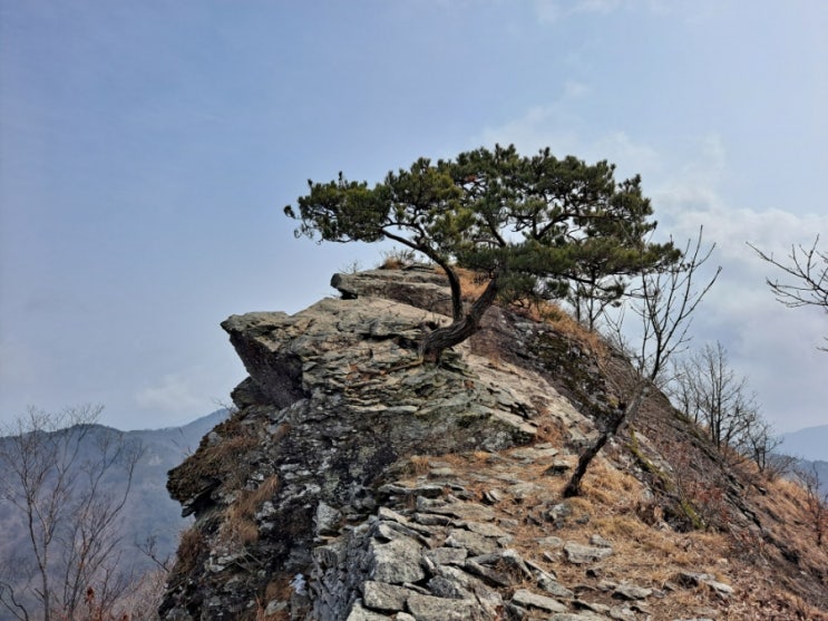 전남 담양 금성산성 일주