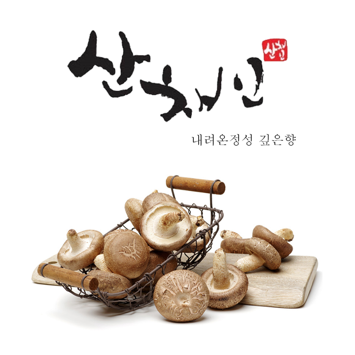 [산채인] 표고버섯