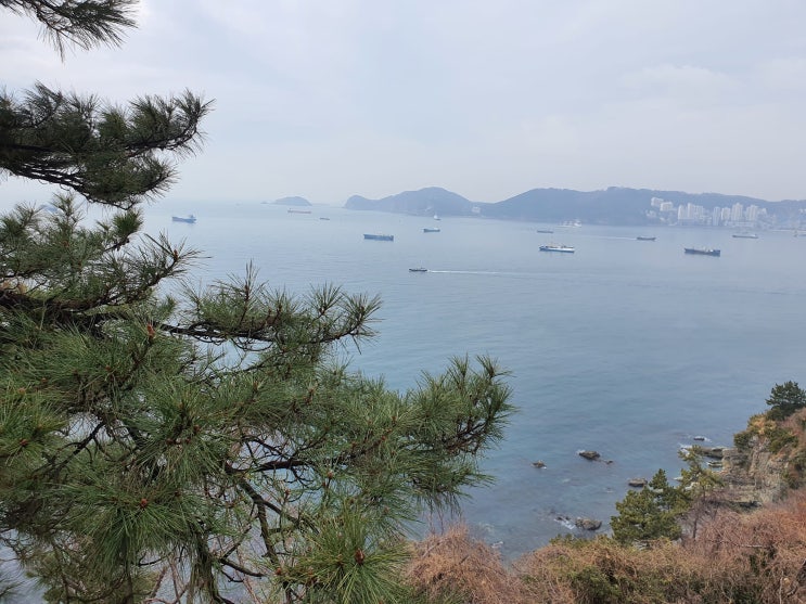  행복이라는 것