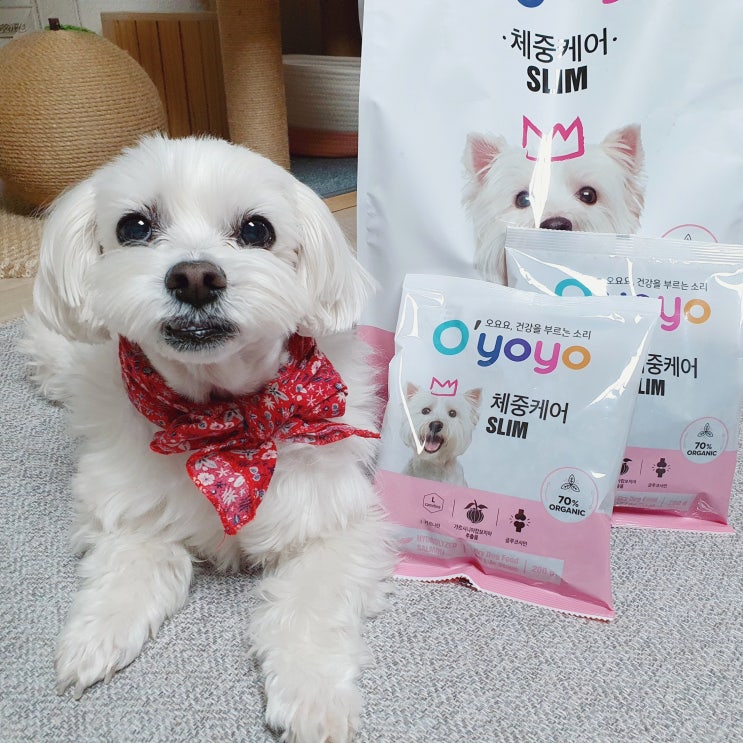  오요요 체중케어 강아지사료로 강아지다이어트를 해요 강아지다이어트사료추천