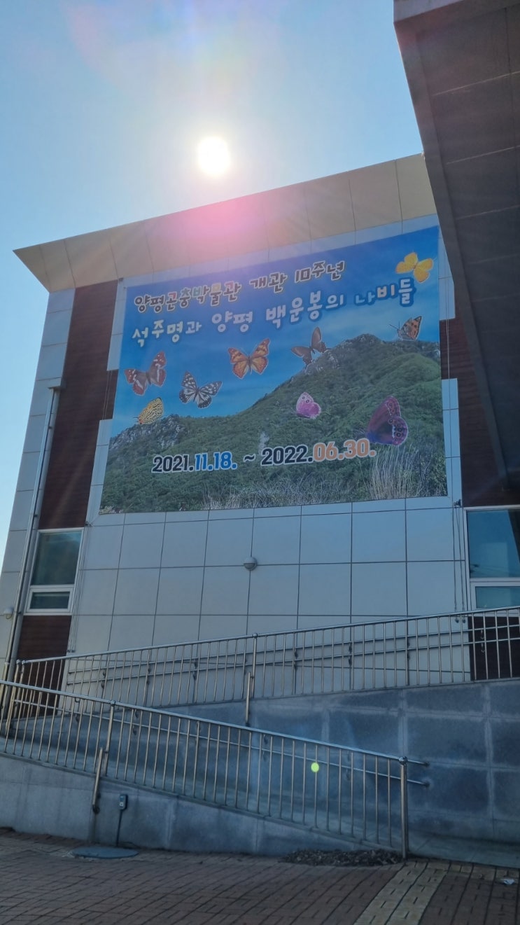  [양평곤충박물관]수많은 나비들과 살아있는 애벌레를 보고싶다면!