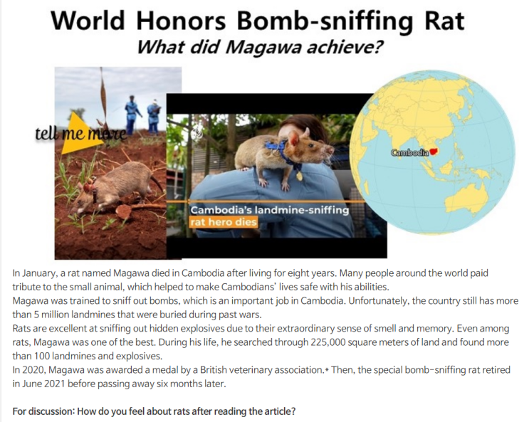 Bomb-sniffing Rat "Magawa" 캄보디아의 폭탄냄새를 맡는 쥐