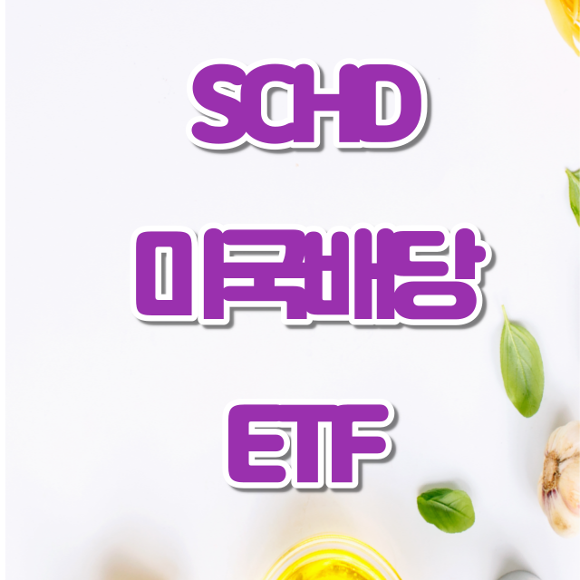 미국 배당주 SCHD ETF