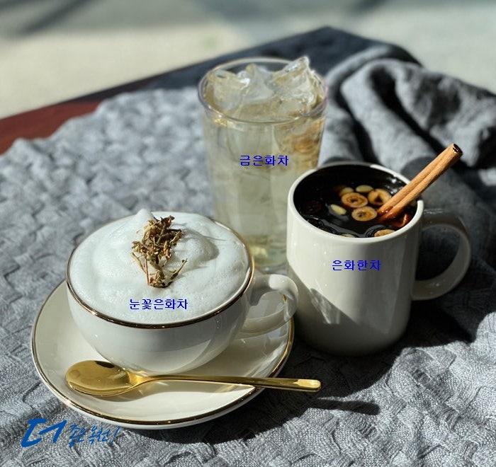 카페프란스 옥천읍점 사진 5