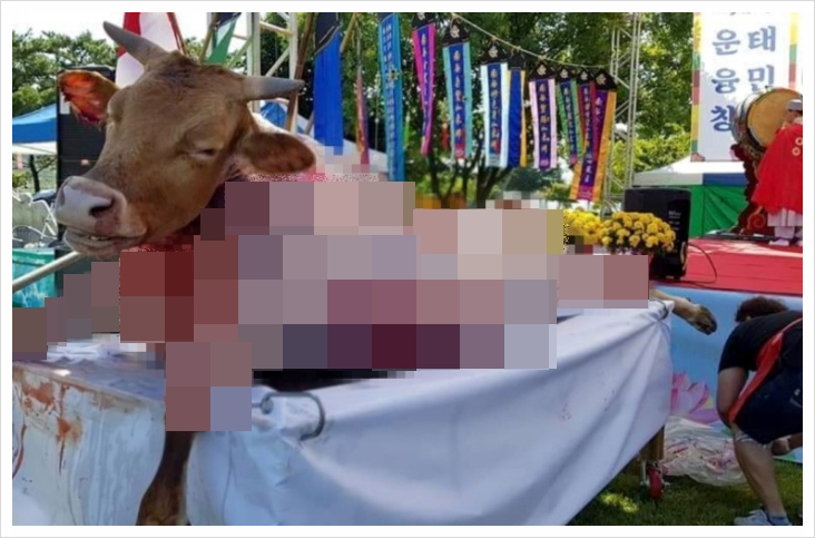  대선 후보자들의 무속인과 굿판
