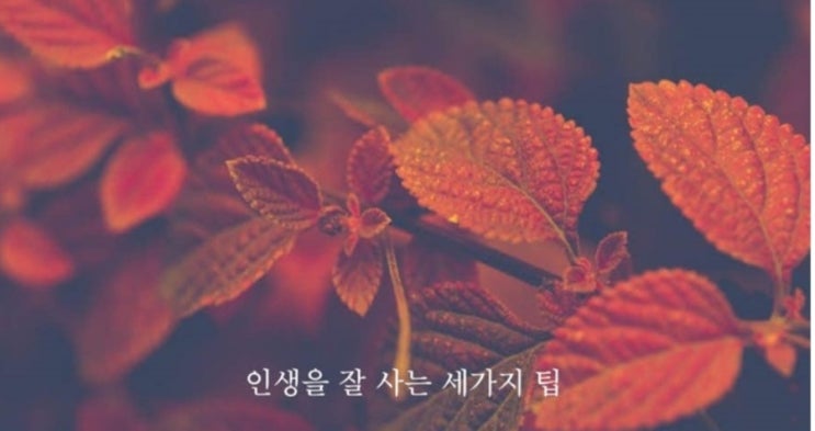 [힐링되는 좋은글] 인생을 잘 살아갈 수 있는 세가지 팁 