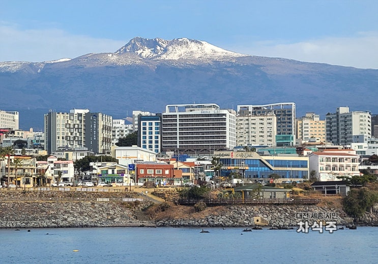  제주 서귀포오션뷰호텔 가성비 좋았던 호텔브릿지