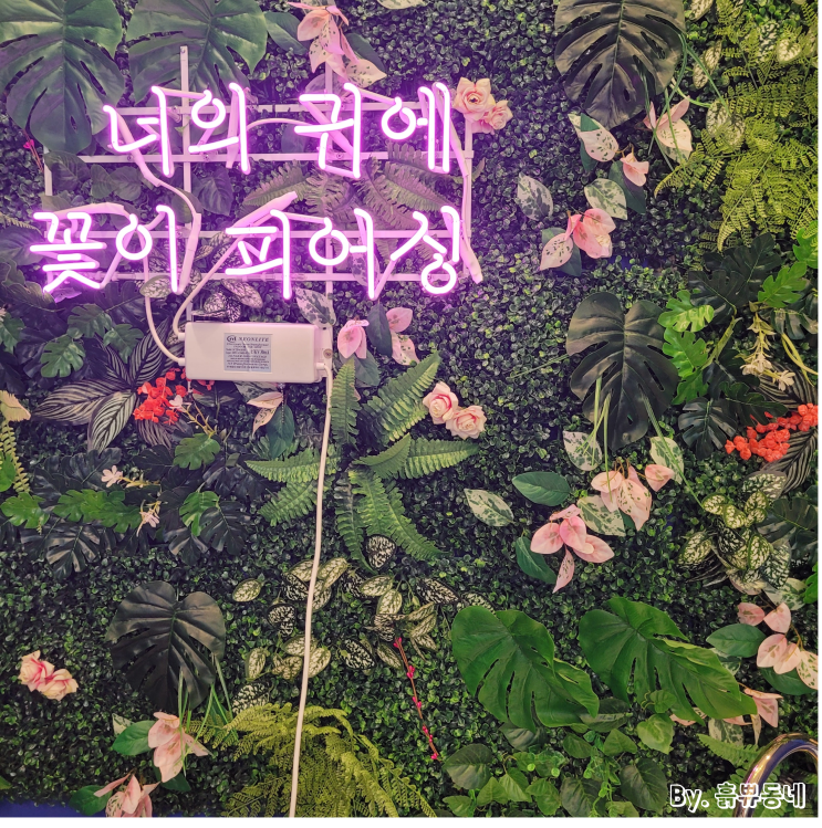  [청주 성안길 피어싱] 피어싱갤러리 청주점