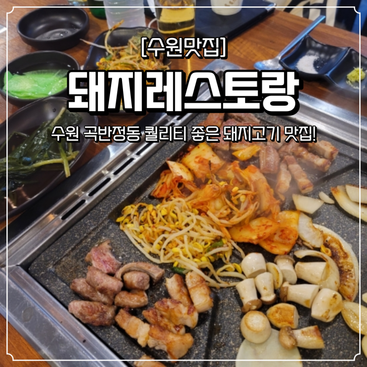  수원 곡반정동 맛집 돼지레스토랑