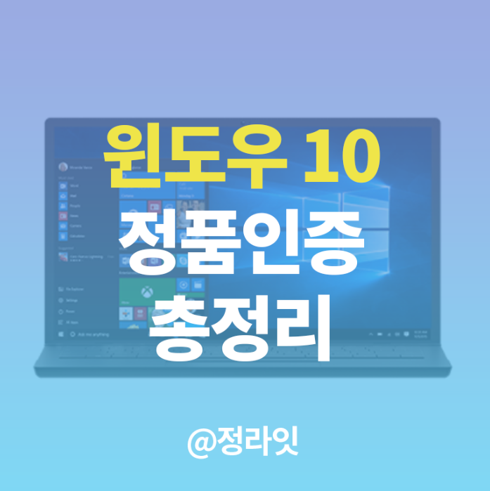  윈도우 10 FPP ESD DSP OEM 총정리