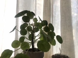  자기 계발은 자기 돌봄이다