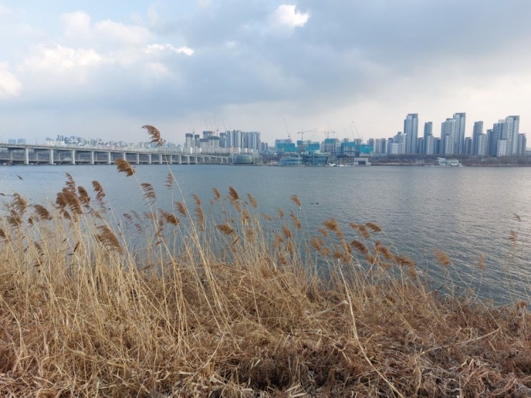 해질녘 한강 둔치 모습 잠수대교 에서 동작대교 3월의 시작 해질녘 한강 둔치 모습 잠수대교 에서 동작대교 3월의 시작