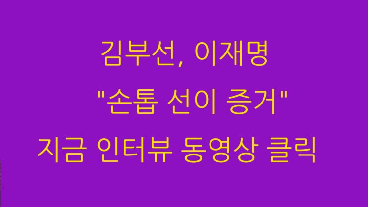  김부선, 이재명 "손톱 선이 증거" 지금 인터뷰 동영상 클릭