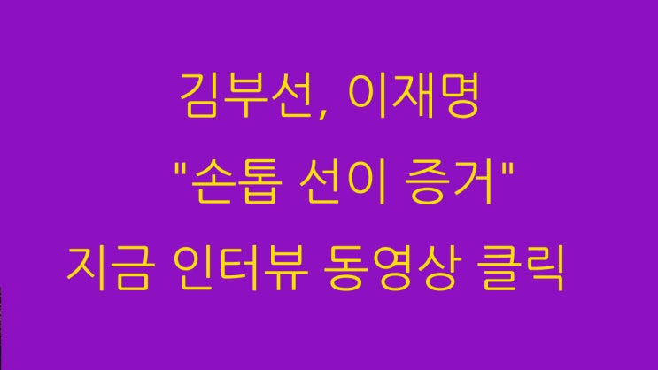 김부선, 이재명 "손톱 선이 증거" 지금 인터뷰 동영상 클릭