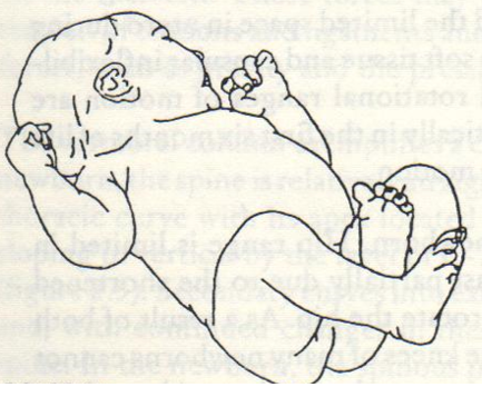  정상발달(Normal Development) - 미숙아(조산아, Preterm Infant) , 교정 연령 계산법