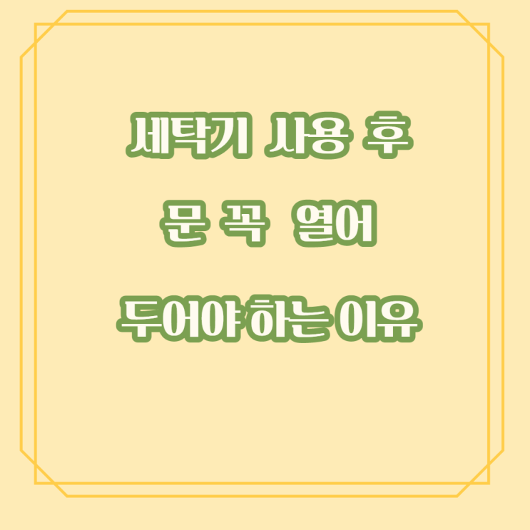  세탁기 사용 후 문 열어놔야 하는 이유