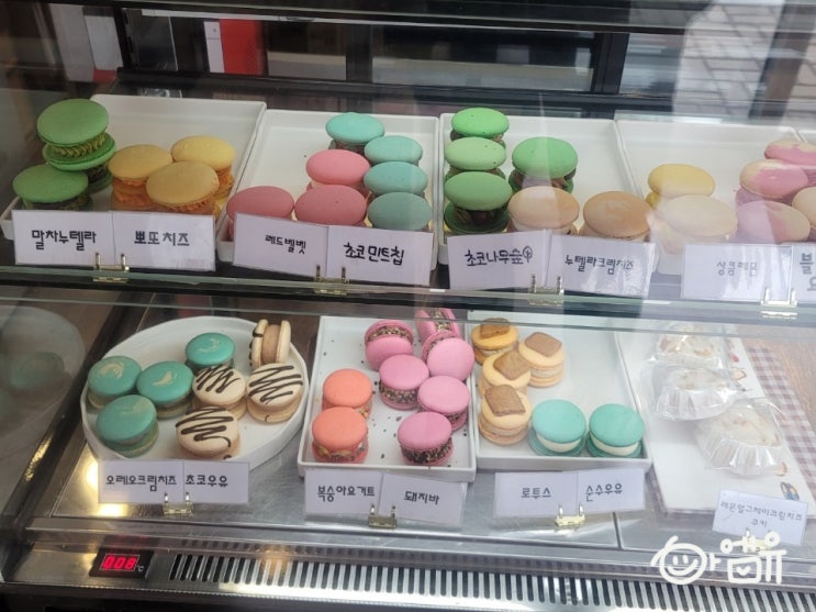  [남양주시/오남]뚱카롱 다쿠아즈 릴리카롱(feat 맛있는 녀석들)