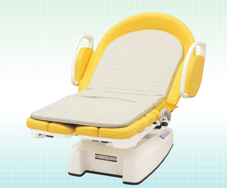  벨몬트 가족분만대(LDR-BED) DG-820
