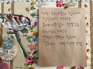  어른이 사라지고 있다.