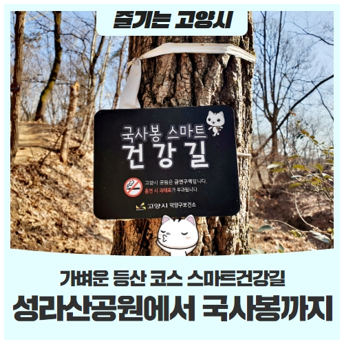 성라산공원에서 성라산 국사봉까지 가벼운 등산 코스 스마트건강길 성라산공원에서 성라산 국사봉까지 가벼운 등산 코스 스마트건강길