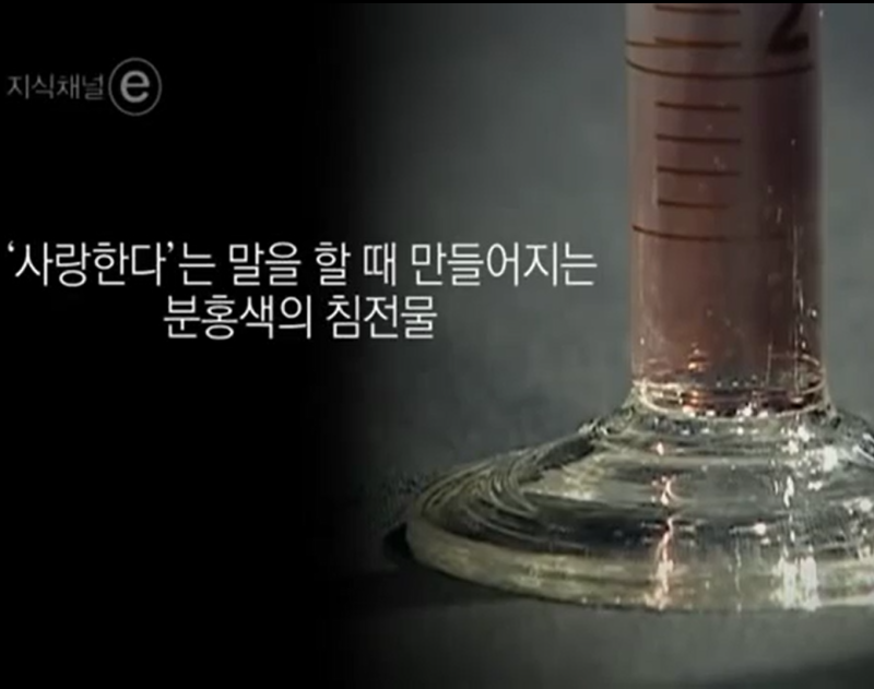 학교 폭력 예방 교육을 위한 동영상 자료-EBS 지식채널 e 욕의 반격 : 네이버 블로그