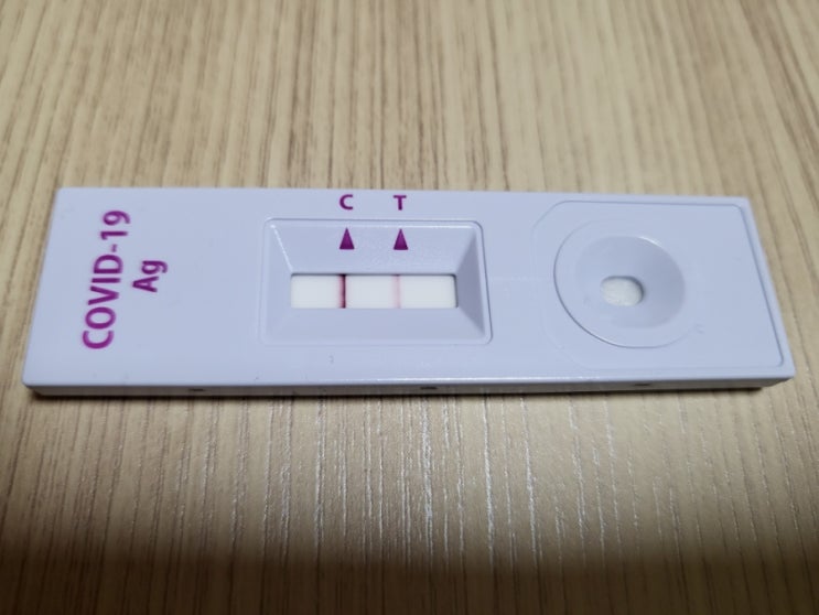  코로나 자가검사키트 양성