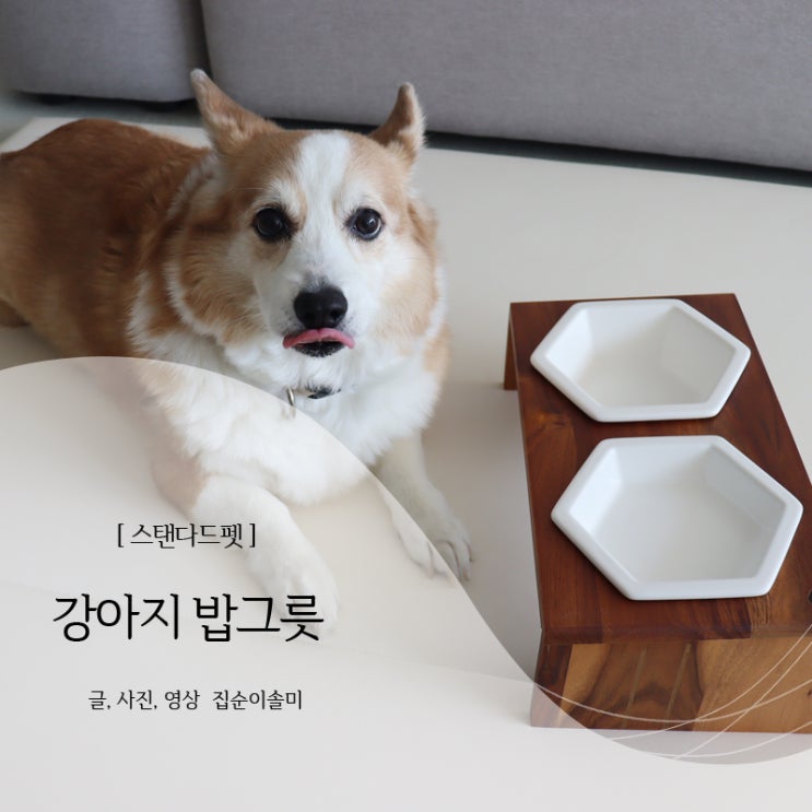  강아지 밥그릇 고급스럽고 튼튼한 스탠다드펫 애견식기