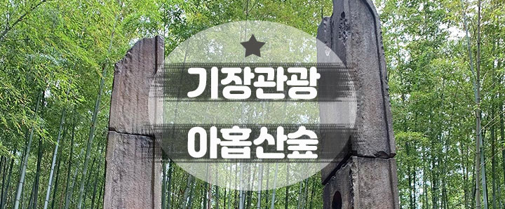 [기장] 더킹 드라마 촬영지로 유명한 대나무 천국 아홒산숲에 다녀오다! (feat. 입장료)