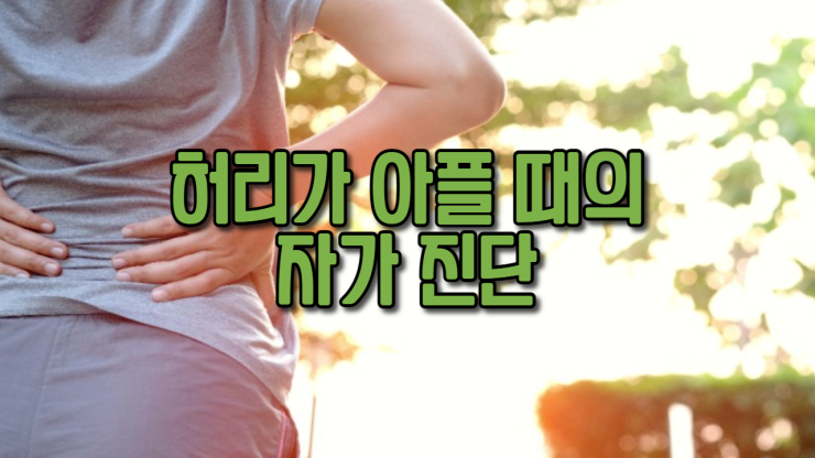  허리가 아플때의 자가진단