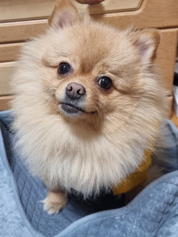 사랑이 좋은건 기가막히게 알아..