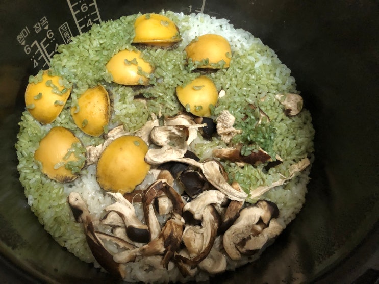  참송이버섯 버터 전복 비빔밥.