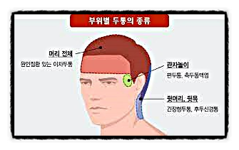 두통(뇌 산소 부족) 체질 개선 새 살 혈액 독소 통증 영양 산소 호르몬