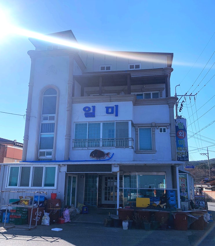 포항 물회맛집 곤륜산 갔다가 들리기 좋은 칠포해수욕장 근처 일미횟집 추천