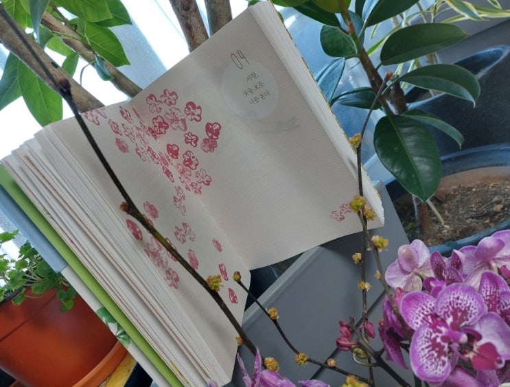 <시> 부탁 사는법 선물 꽃을 보듯 너를 본다 나태주 <시> 부탁 사는법 선물 꽃을 보듯 너를 본다 나태주